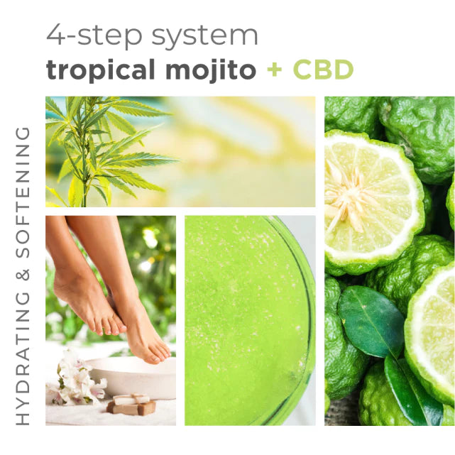 Tropical Mojito Mint + CBD 16oz Starter Kit - 4pc